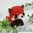 Anleitung Big-Head - Roter Panda als e-Book